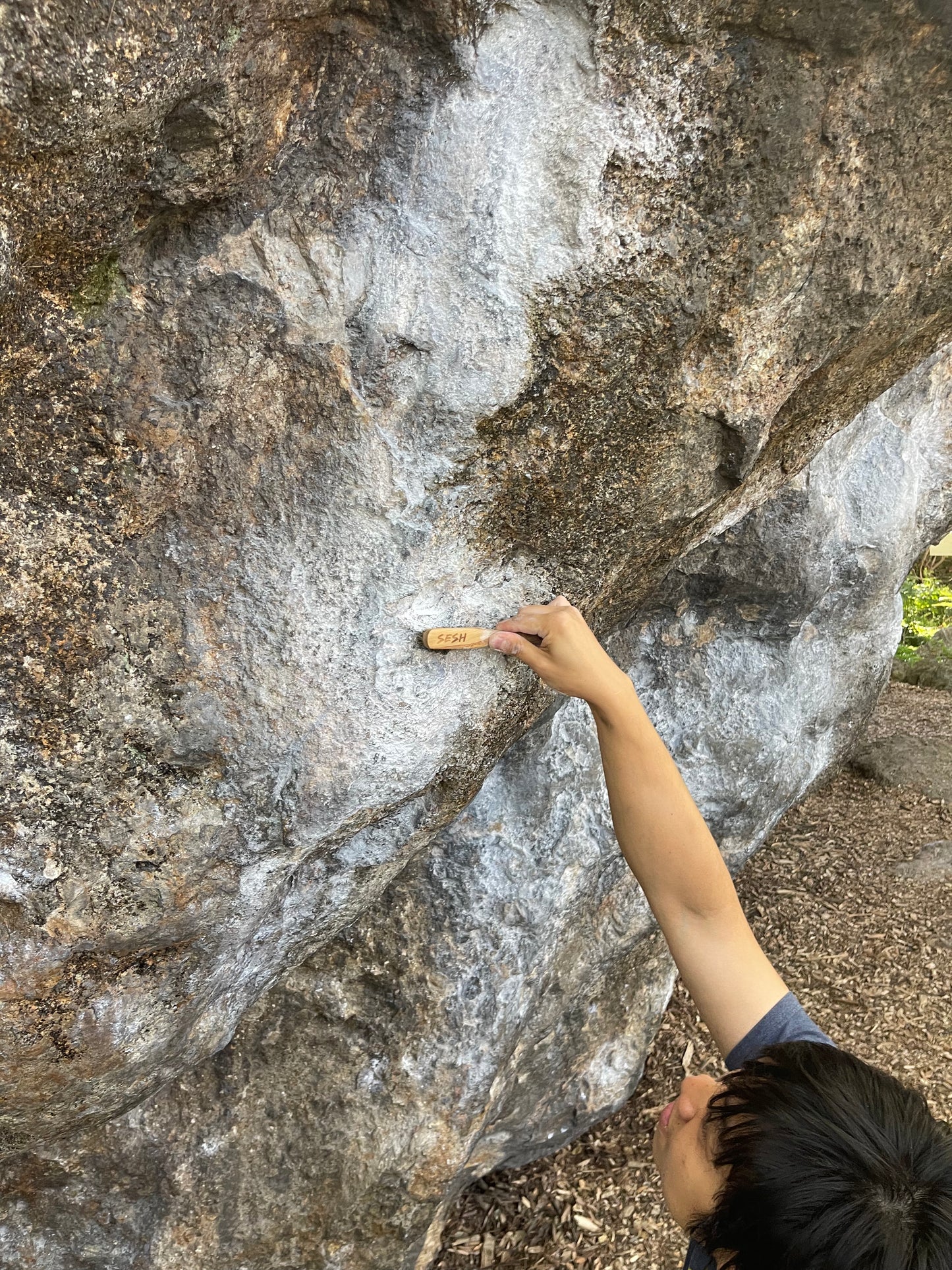 Sesh Climbing Chalk Brush