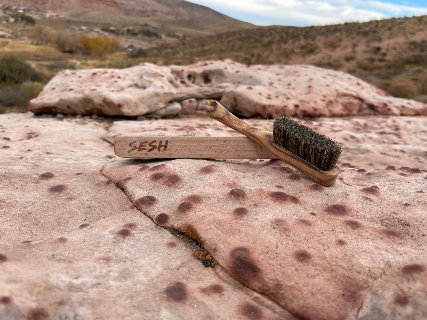 Sesh Bouldering Chalk Brush